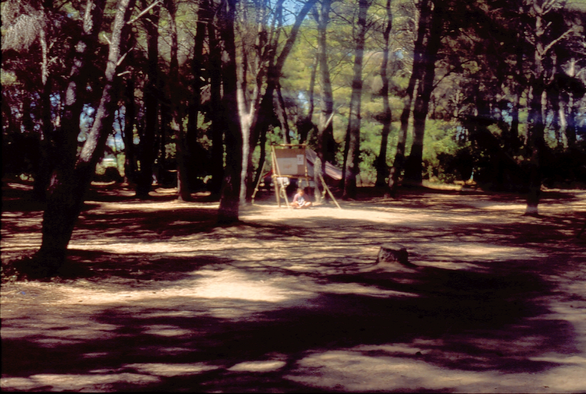 1997 Αγέλη Ελαία